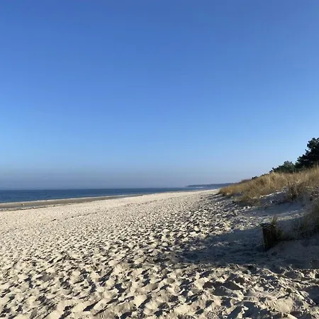 Marin, 03 * Цинновиц